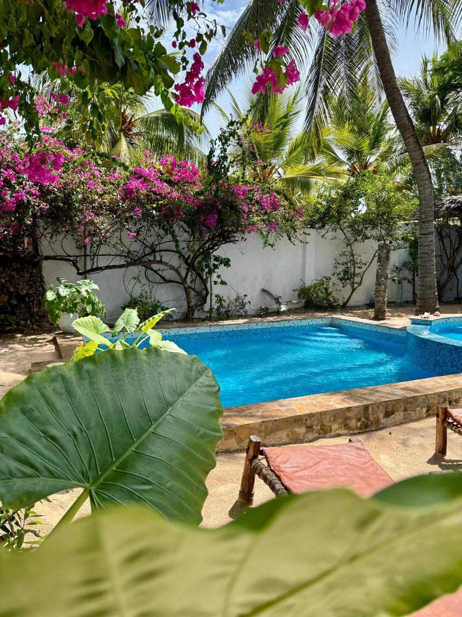 Villa Kipara - Private Beach & Pool Пвани Мчангани Екстериор снимка