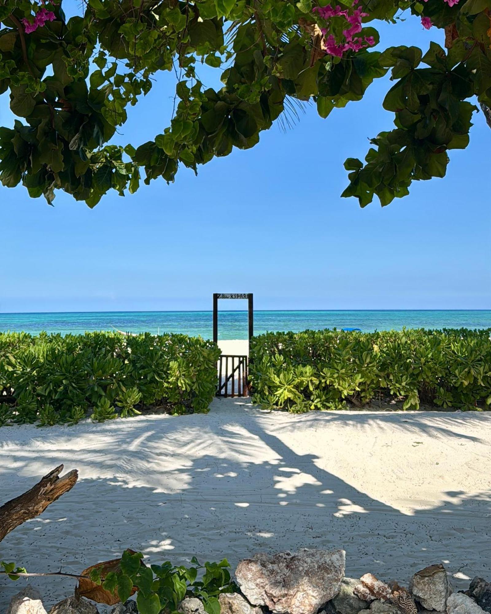 Villa Kipara - Private Beach & Pool Пвани Мчангани Екстериор снимка
