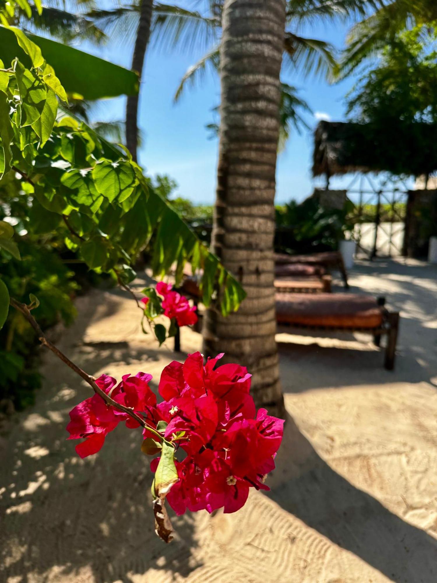 Villa Kipara - Private Beach & Pool Пвани Мчангани Екстериор снимка
